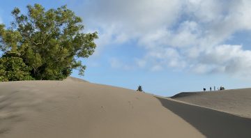 Kawasan Cagar Alam Geologi: Maksimalkan Manfaat bagi Alam dan Manusianya