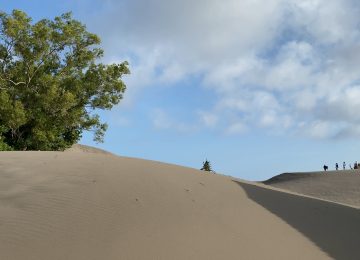 Kawasan Cagar Alam Geologi: Maksimalkan Manfaat bagi Alam dan Manusianya